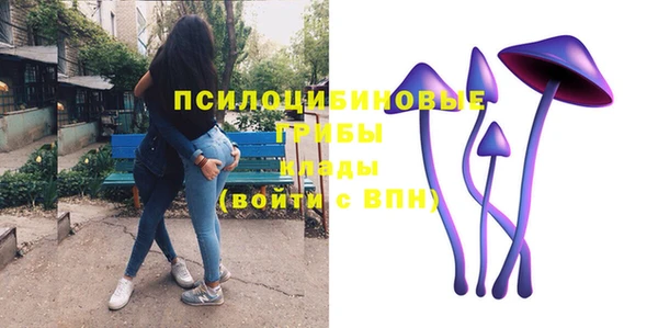 ешки Богородицк