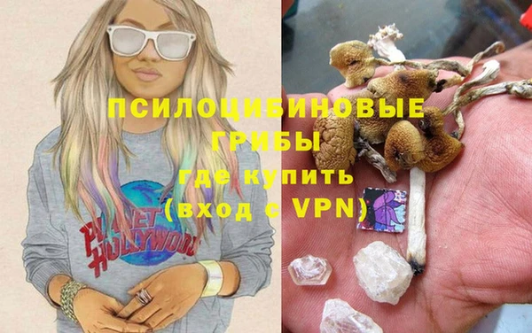 ешки Богородицк