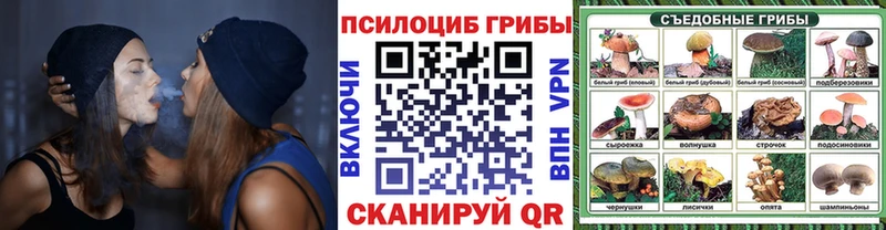 Псилоцибиновые грибы Psilocybine cubensis  Тогучин 